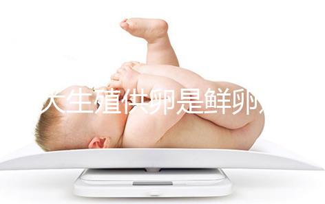 山大生殖供卵是鮮卵還是凍卵分情況，別還不清楚質量如何