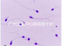 廣州生殖中心排名前十的醫院列舉，權威醫療機構都在這