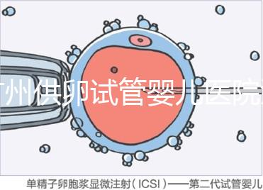 廣州供卵試管嬰兒醫院匯總，真實案例告訴你廣東哪家最好
