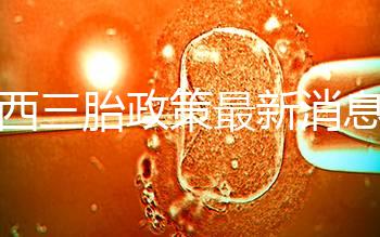 廣西三胎政策最新消息解讀,2024桂北滿(mǎn)足條件可申請(qǐng)獎(jiǎng)勵(lì)