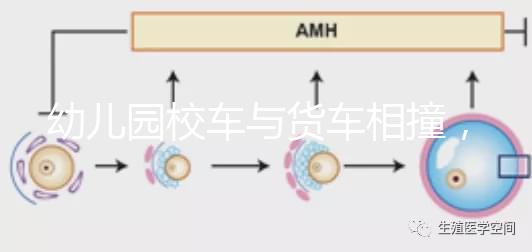 幼兒園校車(chē)與貨車(chē)相撞，乘坐校車(chē)要告訴寶寶注意事項(xiàng)！