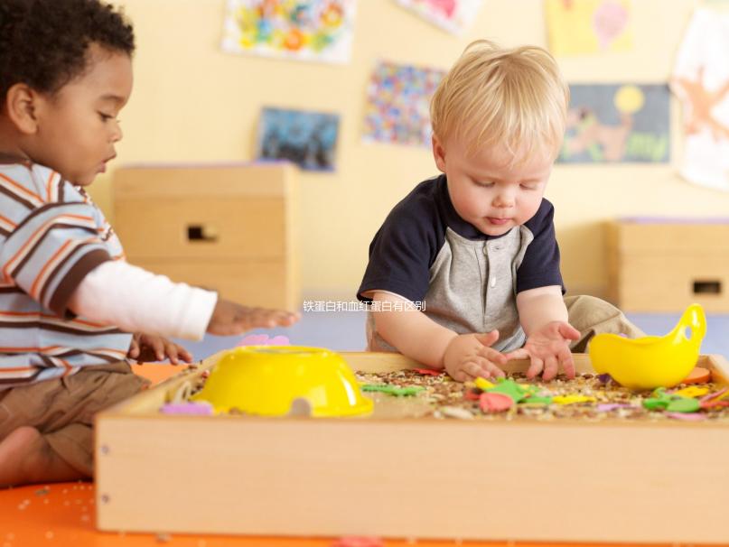 鐵蛋白和血紅蛋白有區(qū)別!通過(guò)這2點(diǎn)可詳細(xì)區(qū)分