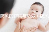 防風(fēng)的作用與功效（防風(fēng)的作用與功效與作用）