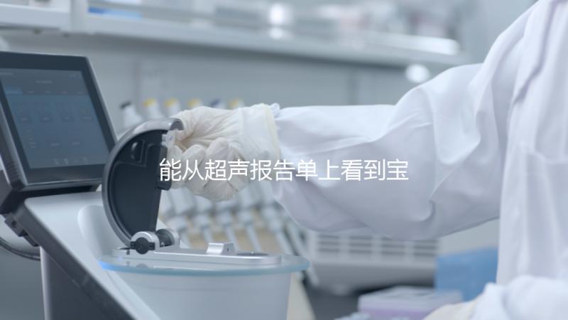 能從超聲報告單上看到寶寶的性別嗎？