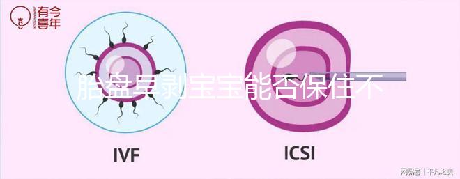 胎盤早剝寶寶能否保住不一定！及時治療和護(hù)理很重要