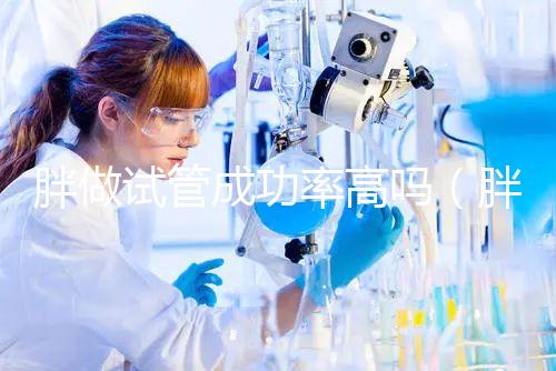 胖做試管成功率高嗎(胖做試管嬰兒會(huì)影響成功率嗎)