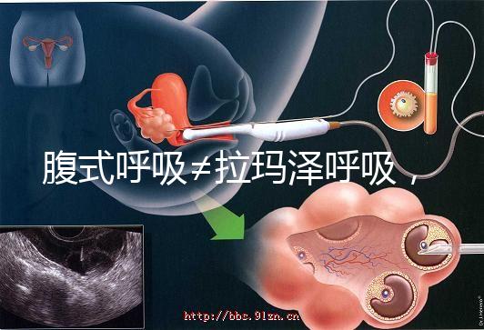 腹式呼吸≠拉瑪澤呼吸，想緩解分娩痛請先分清二者區(qū)別