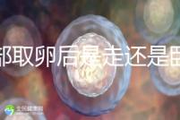 腹部取卵后是走還是臥床?適當(dāng)走路喝點(diǎn)紅豆水是正確做法