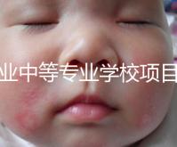 職業(yè)中等專業(yè)學校項目（中等職業(yè)學校專業(yè)建設(shè)規(guī)劃實施方案）