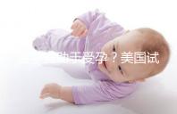 菠蘿有助于受孕?美國試管嬰兒移植后的5個(gè)冷知識(shí)都看看