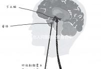 蘇北人民醫(yī)院試管成功率首次公開!3大案例分享助孕體驗(yàn)