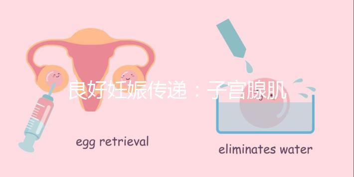 良好妊娠傳遞：子宮腺肌病，移植成功！