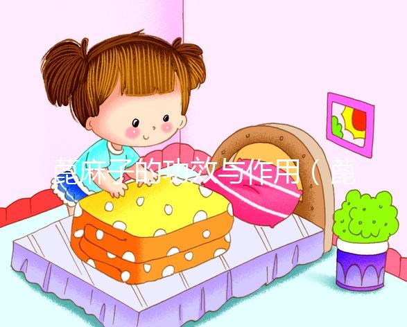 蓖麻子的功效與作用(蓖麻子的功效與作用圖片)