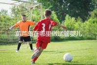 葫蘆島在哪里做試管嬰兒好？盛京和202醫院是熱門選擇