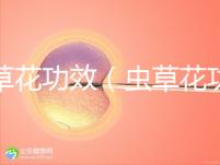 蟲草花功效(蟲草花功效作用與主治功能)