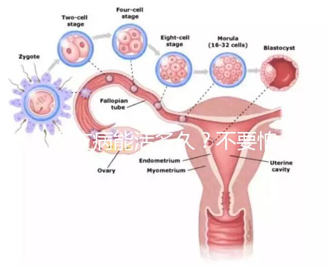 血友病能活多久？不要怕!注意這些同常人無(wú)異