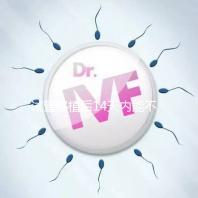 試管移植后14天內能不能吃山竹，孕婦吃山竹作用一覽！