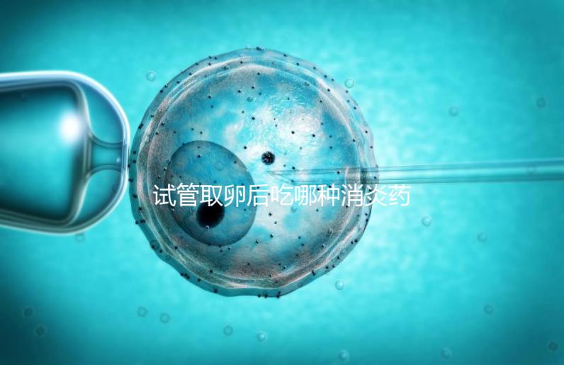 試管取卵后吃哪種消炎藥？婦科炎癥常用這6種藥物