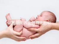 試管期間養(yǎng)龍貓有無影響剖析,是否胎停、流產(chǎn)取決這幾點