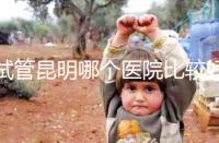 試管昆明哪個(gè)醫(yī)院比較好