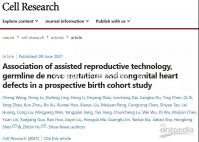 試管嬰兒的具體步驟(試管嬰兒的具體步驟是什么?)