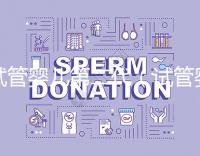 試管嬰兒第二代(試管嬰兒第二代和第三代有什么區別)