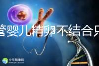 試管嬰兒精卵不結(jié)合只是基因問題？這幾大原因告知真相