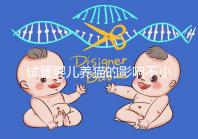 試管嬰兒養(yǎng)貓的影響不小,這三大危害一文說清楚