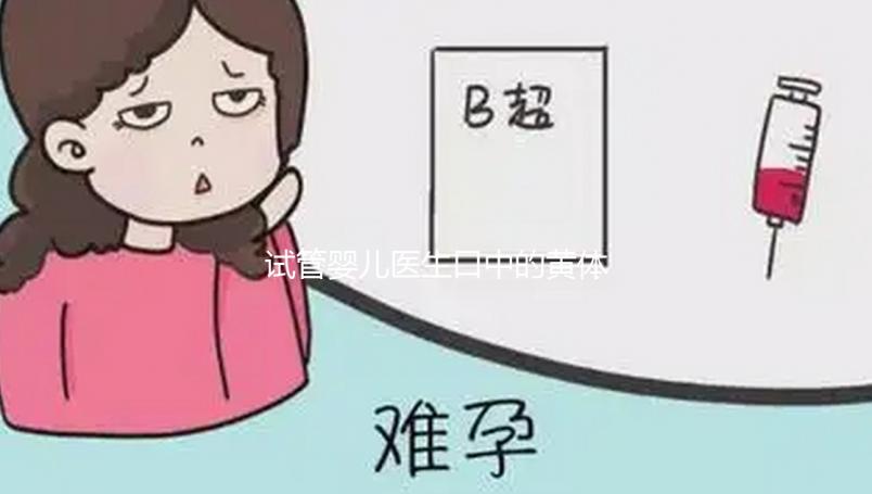 試管嬰兒醫生口中的黃體功能不全到底為那般？