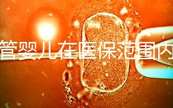 試管嬰兒在醫(yī)保范圍內(nèi)(試管嬰兒在醫(yī)保范圍內(nèi)能報銷嗎)