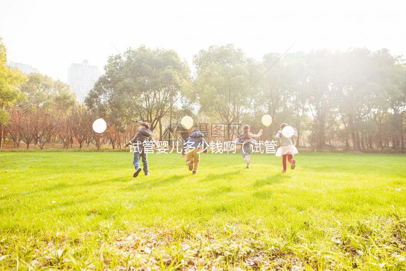 試管嬰兒多少錢啊（試管嬰兒多少錢啊一般來(lái)說(shuō)）