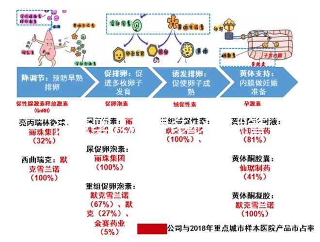 試管嬰兒花費(fèi)多少（試管嬰兒花費(fèi)多少錢(qián)？）