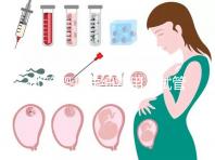 試管嬰兒詳細(xì)費(fèi)用(試管嬰兒詳細(xì)費(fèi)用多少)