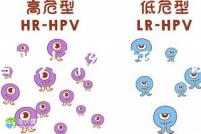 試管嬰兒詳細(xì)過(guò)程(試管嬰兒詳細(xì)過(guò)程小說(shuō))