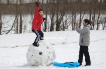 試管嬰兒要多少錢啊