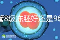 試管8級凍胚好還是9級好進來瞧,看完二者區(qū)別全明白