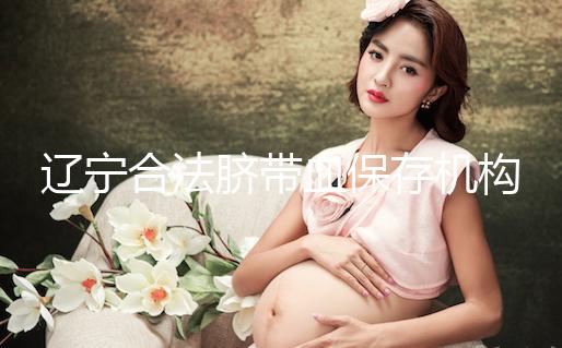 遼寧合法臍帶血保存機構僅沈陽一家！想留個保障錢要備夠