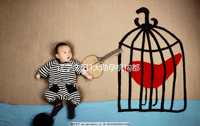 遼寧沈陽(yáng)3大助孕機(jī)構(gòu)都在這，來(lái)看看你知道幾家