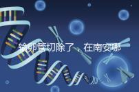 輸卵管切除了，在南安哪里能做試管嬰兒？