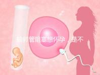 輸卵管阻塞想懷孕，是不是只能做試管嬰兒？