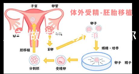 赴美做試管嬰兒前，教你如何攻破最難的“醫療簽證”！