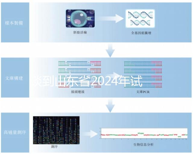談到山東省2024年試管嬰兒的費用，錢主要花在這些地方