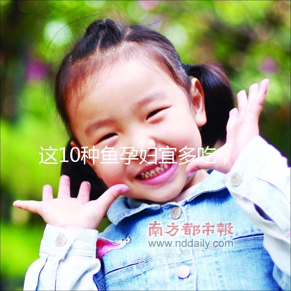 這10種魚孕婦宜多吃，既營養又可以讓寶寶更聰明