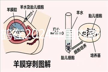 飛鶴在2024年國內(nèi)新生兒奶粉排行榜上排名第一