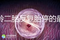 高齡二胎反復(fù)胎停的最大原因很簡單，染色體異常占50%