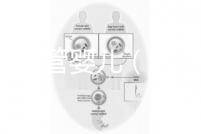 香港 試管嬰兒(香港試管嬰兒可以選擇性別么)