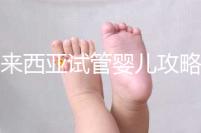 馬來西亞試管嬰兒攻略，試管流程及費用看完就懂