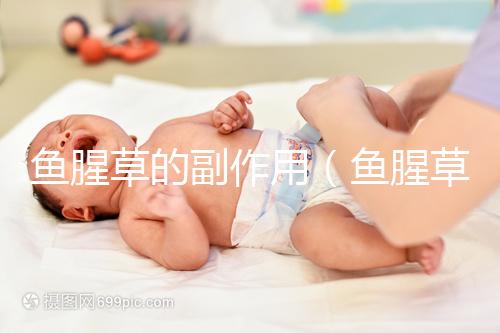 魚腥草的副作用(魚腥草治什么病最厲害)