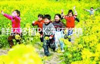 鮮胚移植PK凍胚移植，二者區別告訴你哪個好