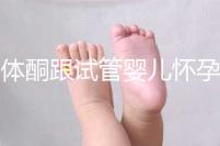 黃體酮跟試管嬰兒懷孕的關系大揭秘！不懂怎么行？